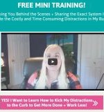 distractions mini training
